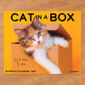 2027 Wall Calendar, Cat in a Box