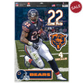 Chicago Bears Decal 11x17 Multi Use Matt Forte Design CO