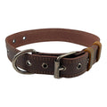 Taco Dog Rustic Leather Dog Collar showcasing durable full grain leather, designed for medium to large dogs. Features a heavy-duty adjustable buckle and metal D ring for leash and ID tag attachment, handmade by artisans in La Antigua Guatemala.