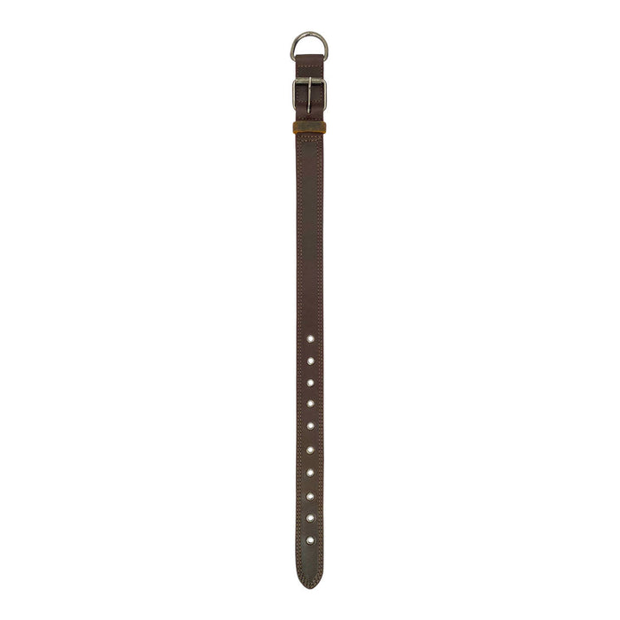 Long view of Taco Dog Rustic Leather Dog Collar displaying its sleek full grain leather finish, ideal for medium to large dogs. Features a strong adjustable buckle and metal D ring, crafted with care in La Antigua Guatemala.