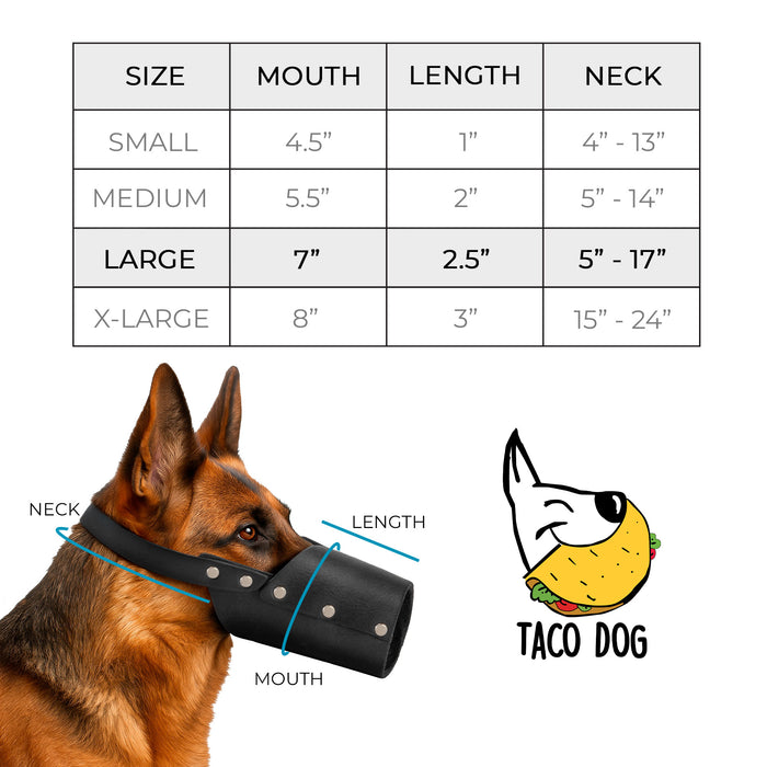 Taco Dog Dog Muzzle on a dog, showcasing its high-quality design made from full grain leather. Perfect for training, this muzzle prevents biting and chewing effectively.
