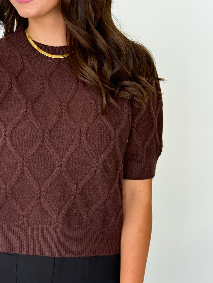 Dorothy - Short Sleeve Knit Top (Brown)