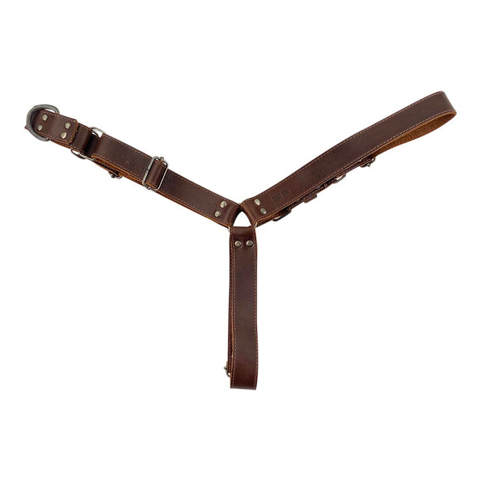 Easy Walk Leather Dog Harness - Stockyard X 'The Leather Store'