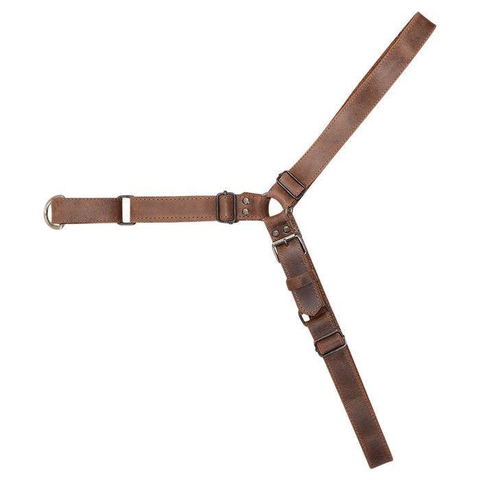 Close-up of the No Pull Dog Harness buckle by Hide & Drink, featuring adjustable straps for enhanced fit. This harness, made from full grain leather, is essential for your pet training supplies and handcrafted through small batch production in La Antigua Guatemala & Oaxaca Mexico.